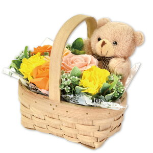 \[vt[ N} oXPbg Mtg v[g KN ͂Ȃ   t[\[v ԃMtg t[Mtg a  ސEj j JXj p Ce