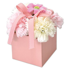 \[vt[ {bNX J[l[V o AWg ͂Ȃ t  t[Mtg v[g  a ސEj j  hV JXj p C