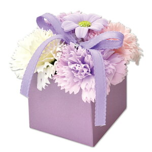 \[vt[ {bNX J[l[V o AWg ͂Ȃ t  t[Mtg v[g  a ސEj j  hV JXj p C