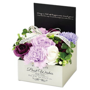 \[vt[ {bNX v[g Mtg o t[\[v AWg  a \ \j җ j ސE   lC ͂Ȃ   ybg  