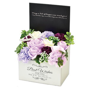 yP10{z \[vt[ {bNX v[g Mtg o t[\[v AWg  a \ \j җ j ސE    lC ͂Ȃ  