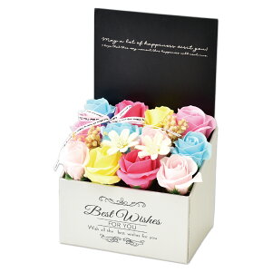 \[vt[ {bNX v[g Mtg o t[\[v AWg  a \ \j җ j ސE   lC ͂Ȃ   ybg  