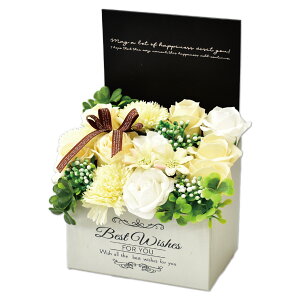 \[vt[ {bNX v[g Mtg o t[\[v AWg  a \ \j җ j ސE   lC ͂Ȃ   ybg  