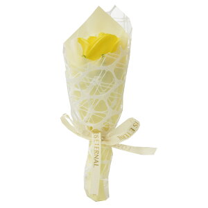 \[vt[ ԑ u[P v[g Mtg o t[\[v AWg  a \ \j җ j ސE    lC ͂Ȃ   yb