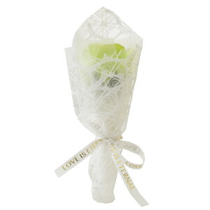 \[vt[ ԑ u[P v[g Mtg o t[\[v AWg  a \ \j җ j ސE    lC ͂Ȃ   yb