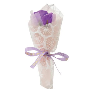 \[vt[ ԑ u[P v[g Mtg o t[\[v AWg  a \ \j җ j ސE    lC ͂Ȃ   yb