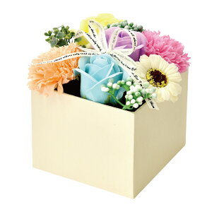 \[vt[ {bNX v[g Mtg o t[\[v AWg  a \ j җ j ސE   lC ͂Ȃ   ybg  