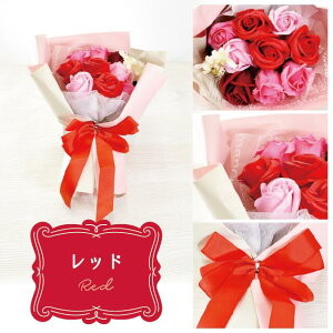 yBF P10{z \[vt[ ԑ u[P y[p[obNt Mtg o KN  V{t[ AWg  a  w  wj AEj C ސE 