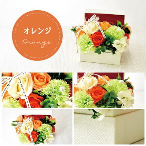 \[vt[ {bNX v[g Mtg o t[\[v AWg  a \ \j җ j ސE    lC ͂Ȃ   ybg 