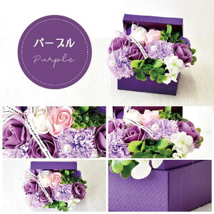 yBF P10{z \[vt[ {bNX v[g Mtg o t[\[v AWg  a \ j җ j ސE   lC ͂Ȃ   