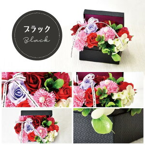 yP10{z \[vt[ {bNX v[g Mtg o t[\[v AWg  a \ \j җ j ސE    lC ͂Ȃ  