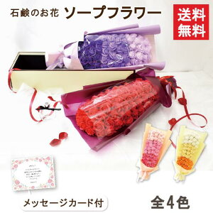 \[vt[ u[P ԑ 65cm Mtg v[g pP[Xt o KN V{t[ AWg   ̂܂ a zCgf[   C ސE ʉ A