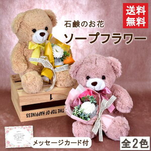 \[vt[ u[P ԑ efBxA 28cm Mtg v[g NAP[X o KN V{t[ AWg  a  zCgf[   C ސE ʉ 