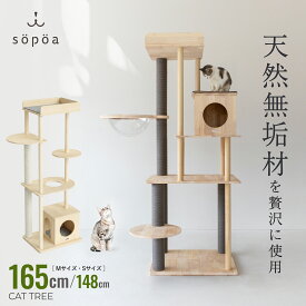 ★楽天1位★ sopoa®公式【★4.75】キャットタワー 木製 据え置き 天然木 無垢材 大型猫 多頭飼い シニア 子猫 猫タワー キャットツリー 宇宙船 透明カプセル クリアボウル 爪とぎ 頑丈 おしゃれ 北欧 スリム 省スペース 165cm 148cm 天然無垢材 送料無料【選べる2サイズ】