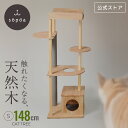 【sopoa®公式】 キャットタワー 148cm 木製 据え置き 天然木 無垢材 ラバーウッド 大型猫 多頭飼い シニア 猫タワー …