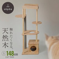 【sopoa®公式】 キャットタワー 148cm 木製 据え置き 天然木 無垢材 ラバーウッド 大型猫 多頭飼い シニ…