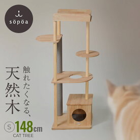 【sopoa®公式】 キャットタワー 148cm 木製 据え置き 天然木 無垢材 ラバーウッド 大型猫 多頭飼い シニア 猫タワー 猫ハウス 展望台 爪とぎ 北欧 おしゃれ インテリア 頑丈 安定 省スペース スリム キャットツリー 隠れ家 マット付き 天然無垢材 運動不足解消 送料無料