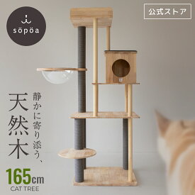 10週連続ランキング1位受賞！ sopoa®公式 【天然無垢材・宇宙船付★】 キャットタワー 165cm おしゃれ 北欧 天然無垢材 宇宙船 透明カプセル 頑丈 安定感 木製 据え置き 大型猫 多頭飼い シニア 猫タワー 爪とぎ クリアボウル 組み立て簡単 送料無料