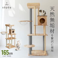 楽天1位★ sopoa®公式【★4.75】キャットタワー165cm 木製 据え置き 天然木 無垢材 大型猫 多頭飼い シ…