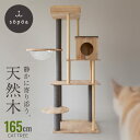 今日も楽天1位【天然無垢材・宇宙船付★ランキング連続1位】 キャットタワー 165cm おしゃれ 北欧 天然無垢材 宇宙船 …