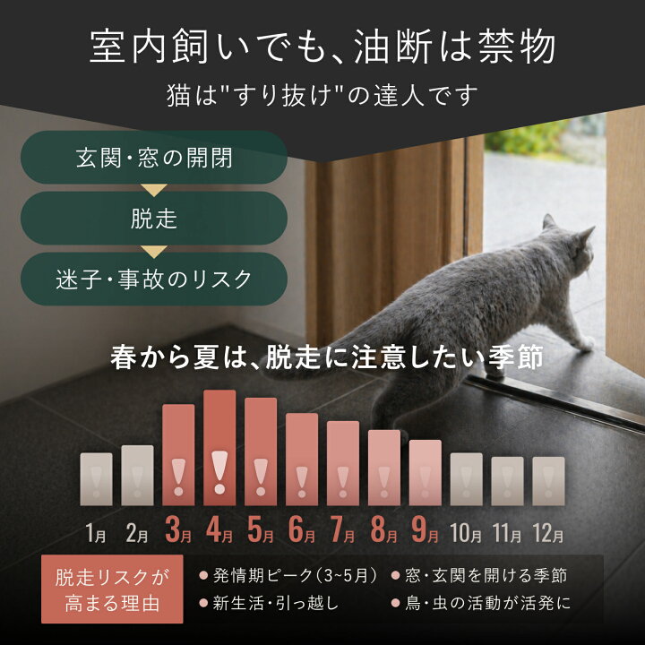 楽天市場】高190・148cm / 幅75〜245cm sopoa®公式 CAT WALL ペット 