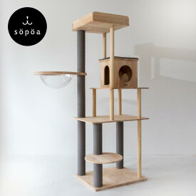 sopoa®公式【 高評価★4.75 】CAT TREE 天然 無垢材 木製 キャットタワー 2色 高品質（スリム 宇宙船 爪研ぎ クリアボウル 据え置き モダン 高さ165cm ラバーウッド） 大型猫 シニア 多頭飼い 対応 透明カプセル おしゃれ【 長く使えて汚れにくい 】