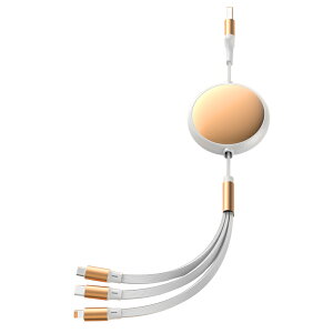 3in1 [dP[u 3C2 }[dP[u 100W/6A TypeC&USBϊvOt 莮 }[d ^CvcP[u} type-c CgjO ACtHP[u ԗpoCobe[/Macbook Pro/Air/