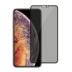 2点セット iPhone14 Pro 14 Plus iPhone14 Pro Max ガラスフィルム 日本旭硝子 ブルーライトカット iPhone13 iPhone13 Pro iPhone SE2022 iPhone SE第3世代 フィルム iPhone12 フィルム iPhone SE2 iPhone11 Pro ガラスフィルム 覗き見防止 抗菌 XR X 液晶保護フィルム