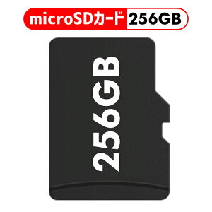 microSDJ[h 256GB J[h SDJ[h }CNsdJ[h MP3v[[p fWJp u[gD[XXs[J[p a o[Xf[  hV̓ j bsO T[rX 蕨