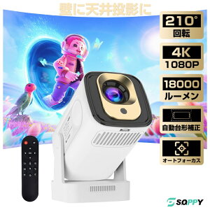 2025NVdlyvVIȓƗXs[J[E{iI1080PEI[gtH[JXzvWFN^[V䓊e^AndroidTV11.0ƒp5Gwi-fi6z[vWFN^[{[^Rtl炵`