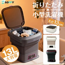 10%クーポンで最安5382円】2026最新モデル洗濯機 小型 折り畳み式 一人暮らし 収納 せんたく機 靴 コンパクト 持ち運べやすい バケツ型ミニ洗濯機ミニランドリー簡易洗濯機ポータブル軽量分け洗い 野球予洗い ベビー用品新生児 旅行用ペット用品靴下下着タオル