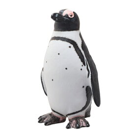 フェバリット 海洋生物フィギュアビニールモデル ケープペンギン
