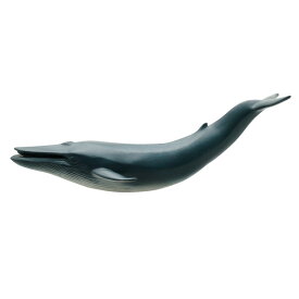 フェバリット 海洋生物フィギュアマリンライフ ソフトモデルシロナガスクジラ