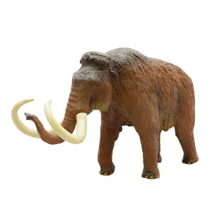 tFobg ÐtBMAvqXgbNCt \tgfPiK}X