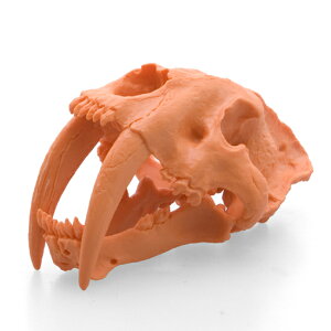 tFobg ÐSzlPV X~hXJ IW