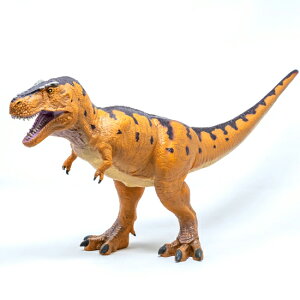 tFobg tBMArj[f eBmTEX }X^[NtgGfBV