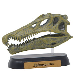 tFobg tBMA~jf XsmTEX XJ