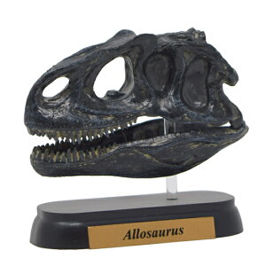 tFobg tBMA~jf ATEX XJ