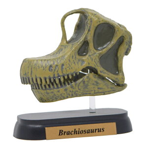 tFobg tBMA~jf uLITEX XJ