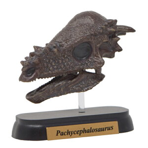 tFobg tBMA~jf pLPt@TEX XJ