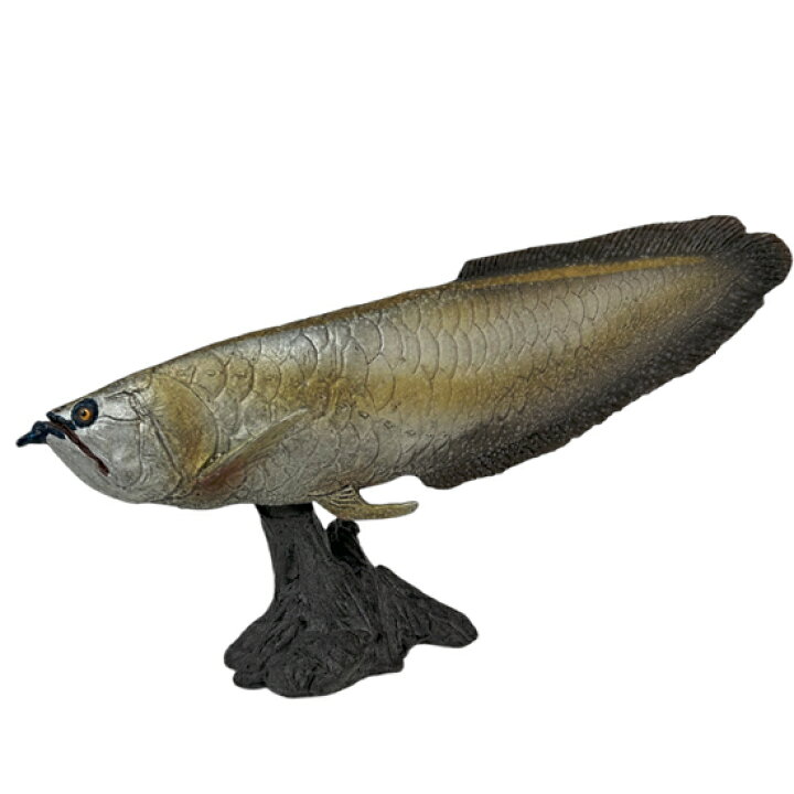 楽天市場】フェバリット 古代魚フィギュアエンシェントフィッシュ 