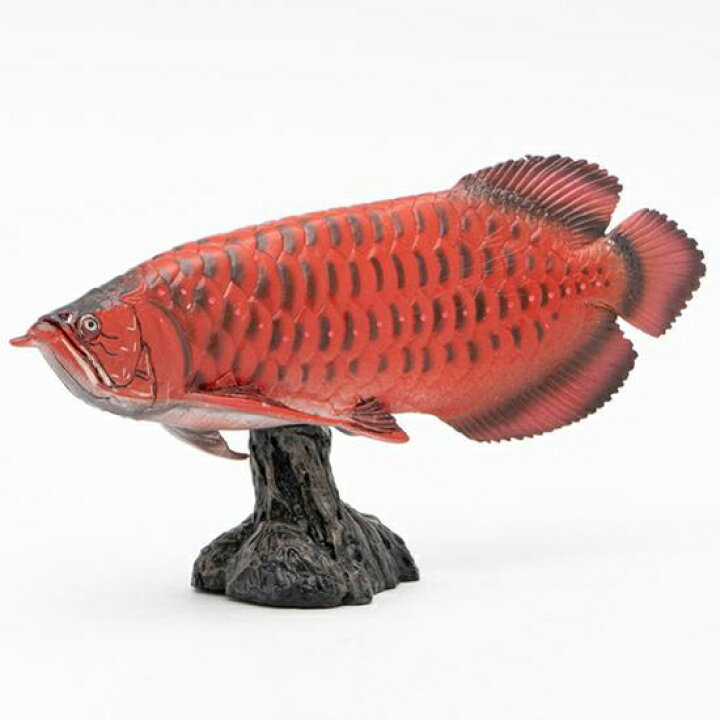 楽天市場 フェバリット 古代魚フィギュアエンシェントフィッシュ ソフトモデルアジアアロワナ 紅龍 ソプラノ