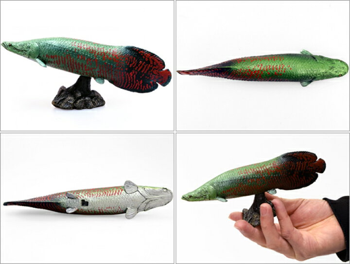 楽天市場】フェバリット 古代魚フィギュアエンシェントフィッシュ