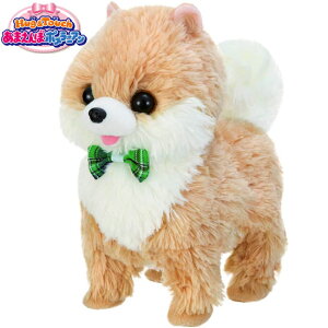 C nO&^b` ܂ڃ|jA d ʂ