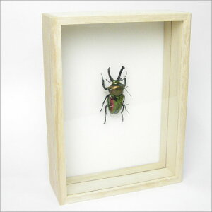 W{ jWCNK^ ˔20.5×15.5cm