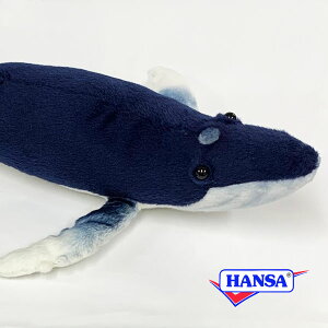HANSA nT ʂ6285 UgENW ~  A C̐