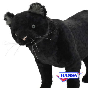 HANSA nT ʂ7006 NqE ^ qE A 