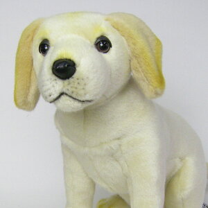 HANSA nT ʂ4712 uh[̎e  RCk e q A 