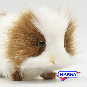 HANSA nT ʂ3735 eWNlY~ l ˂ A 
