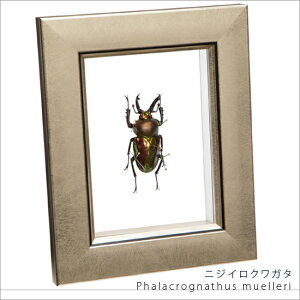 W{ jWCNK^ ^bNCgt[ 15×12cm